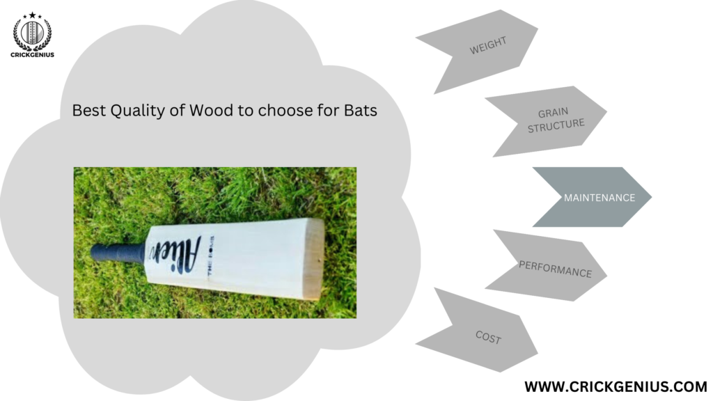 Best Quality of Wood to choose for Bats